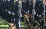 2004 Memorial Service - Police officers and canine at attention at memorial ceremony
